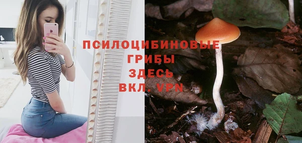 спайс Алексеевка