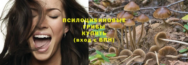 mdpv Алзамай