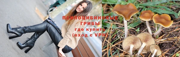 спайс Алексеевка