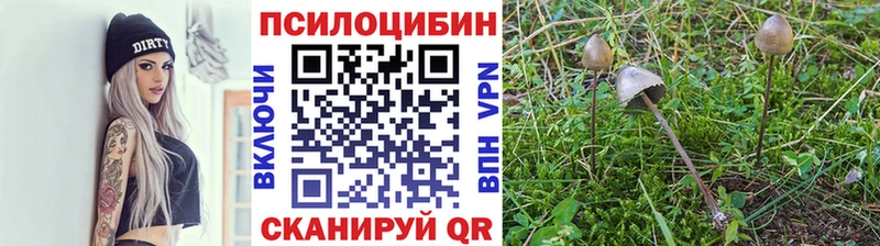 Галлюциногенные грибы ЛСД  где можно купить   Белоозёрский 